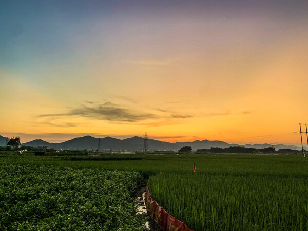 黄昏的稻田与山拍图片