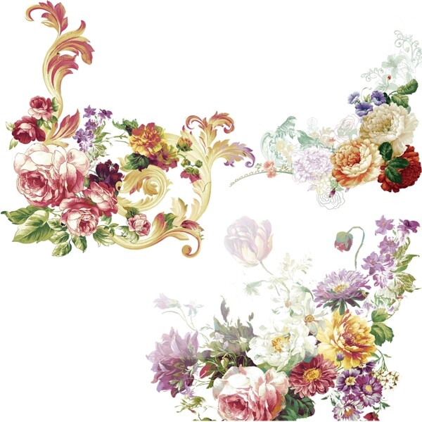 花卉