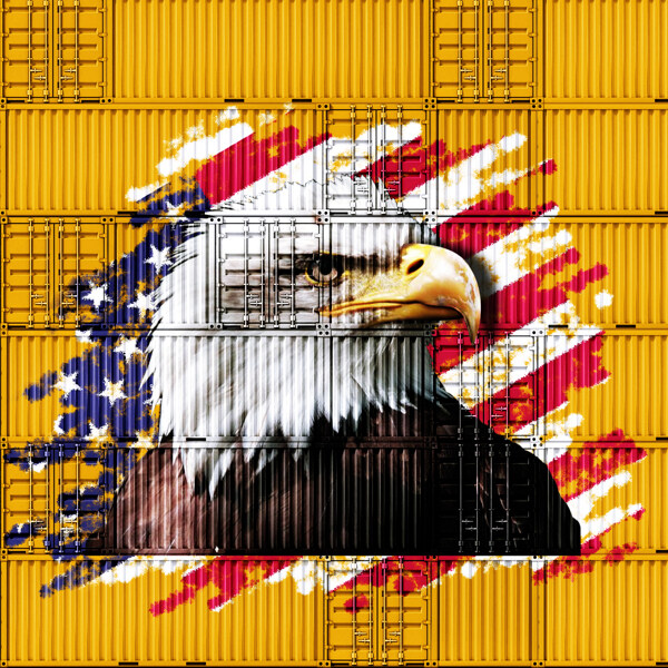 集装箱美国鹰涂鸦