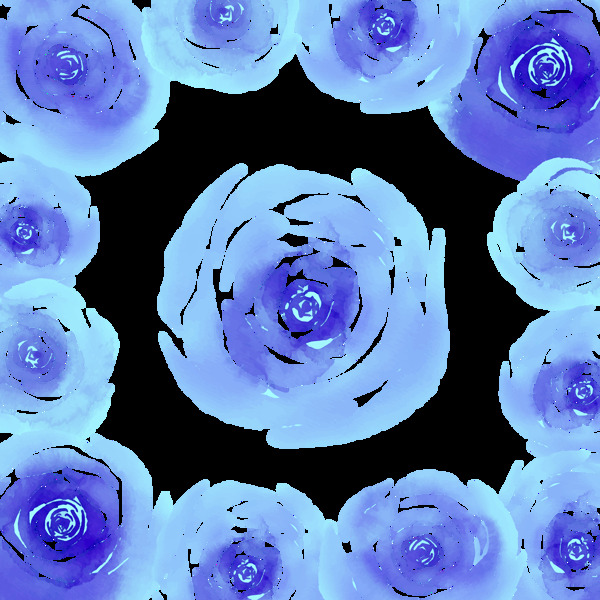 蓝玫瑰鲜花边框免抠png透明图层素材