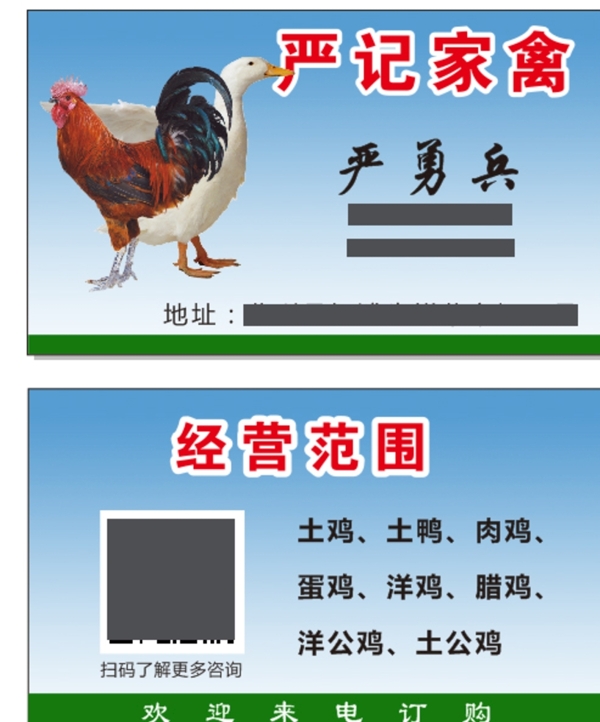 雞子名片