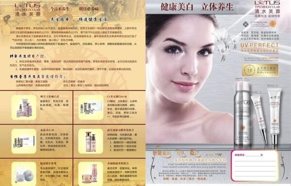清水芙蓉圖片