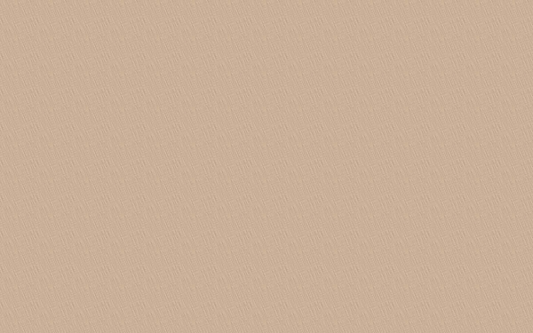 紋理背景103