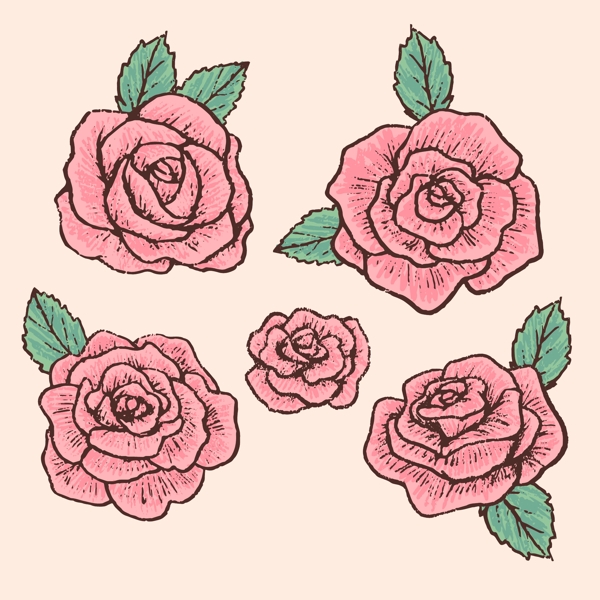 矢量玫瑰花