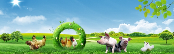 畜牧行業(yè)banner