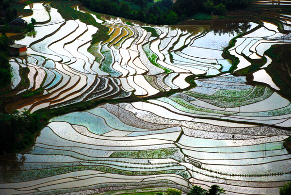 蘇馬蕩風(fēng)景梯田圖片