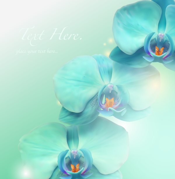 藍(lán)色蝴蝶花矢量背景