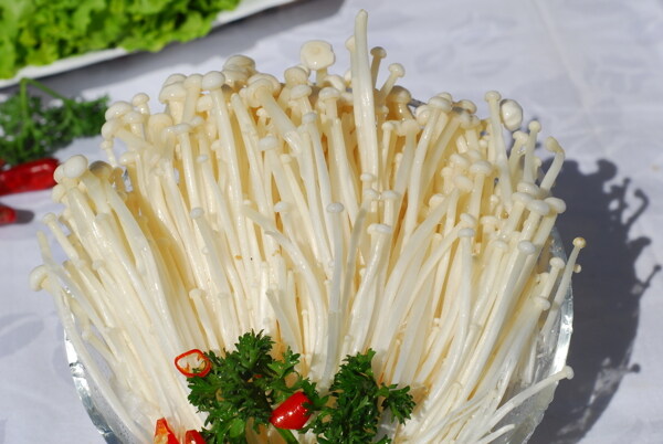 金針菇圖片