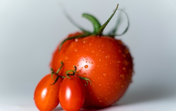 红番茄图片