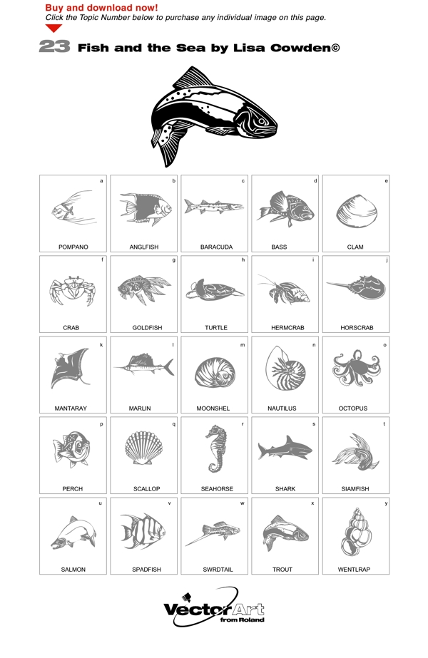 魚(yú)類和海洋生物矢量素材