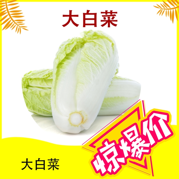 大白菜