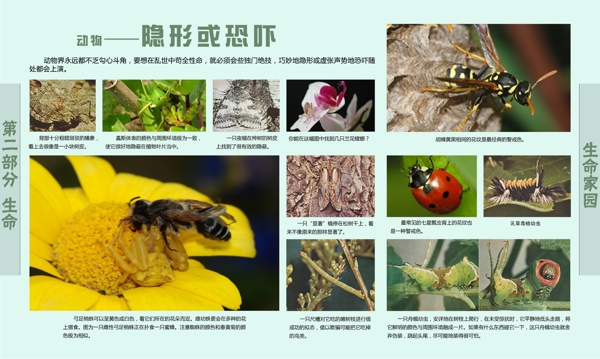 學(xué)校展板設(shè)圖片