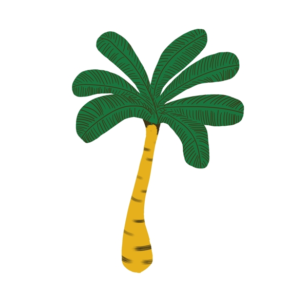 海边的一颗椰子树
