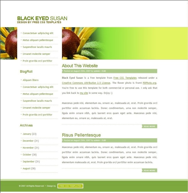 黑眼睛的苏珊BLOG网页模板