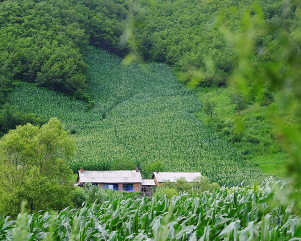 山村圖片