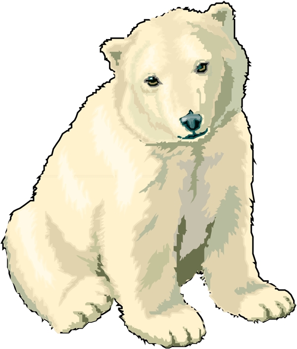 野生動物22