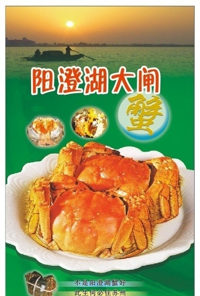 大閘蟹圖片