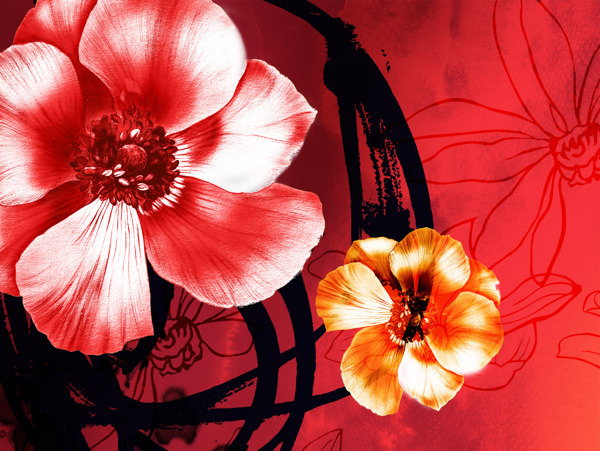 插花藝術(shù)作品