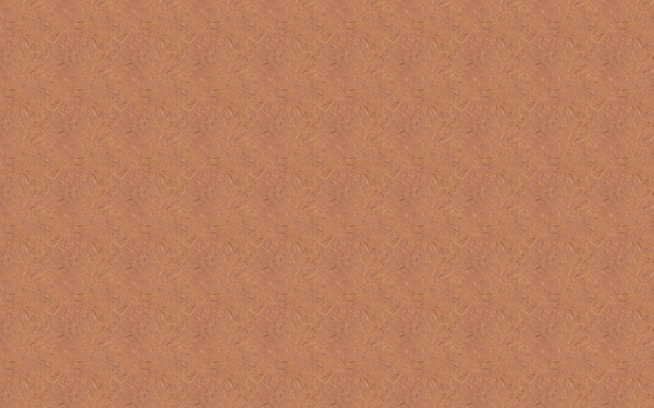 紙的背景216