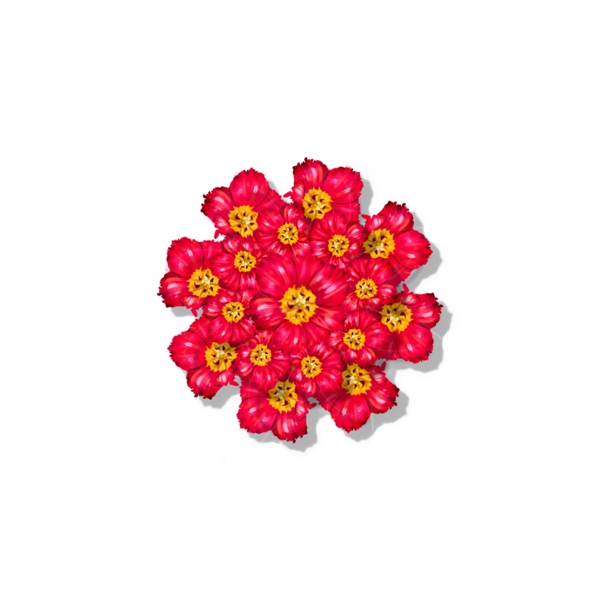 手绘小红花装饰元素可商用素材