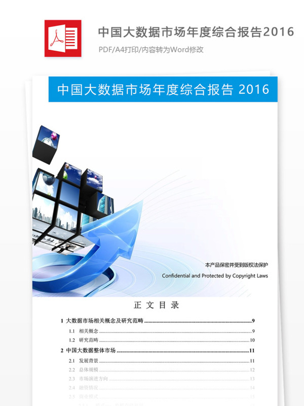 中国大数据市场年度综合报告的格式范文