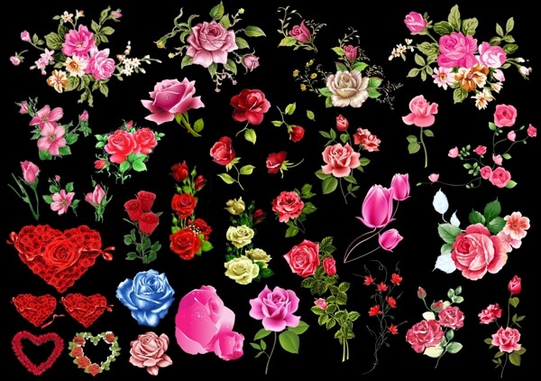 玫瑰花海