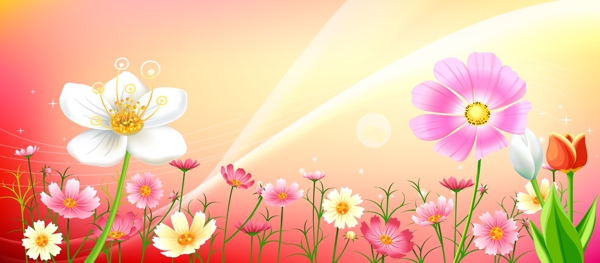 花朵素材圖片