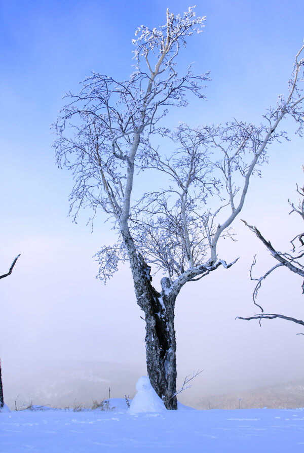 二郎河雪景圖片