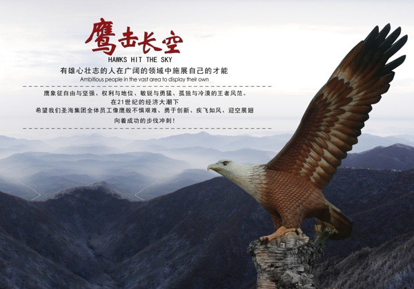 鷹擊長空?qǐng)D片