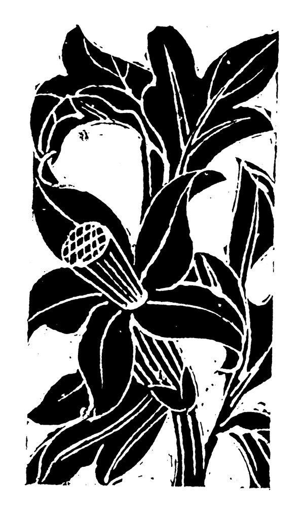 花鳥圖案元明時代圖案中國傳統(tǒng)圖案154