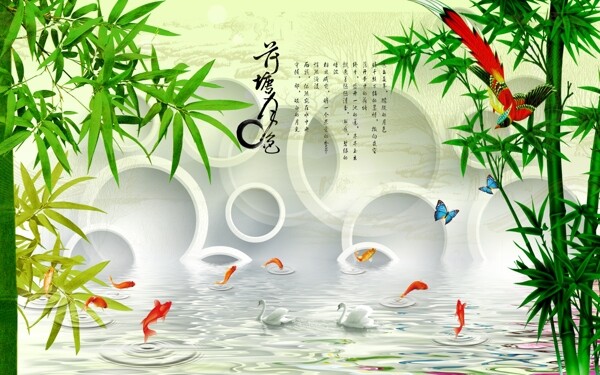 荷花夜色