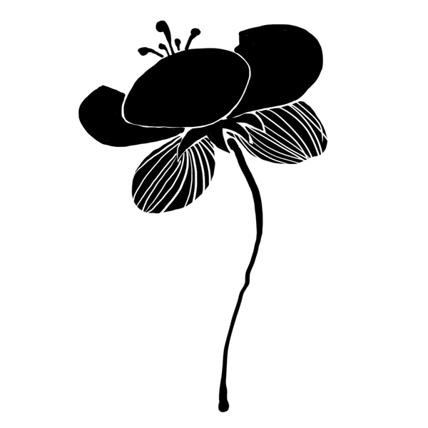 一朵黑色桃花插图