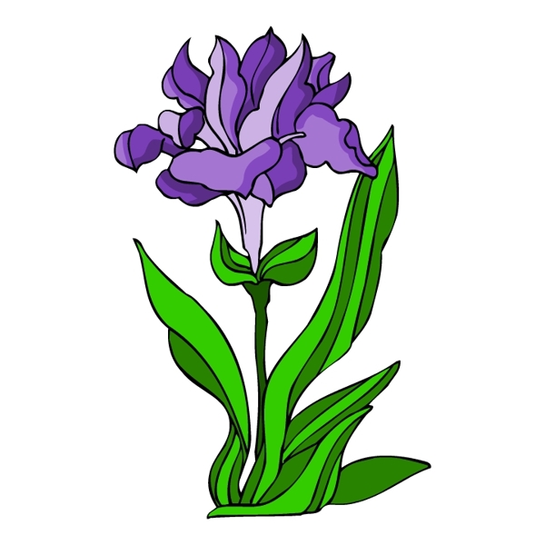 花卉古典插畫