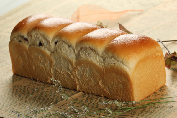 面包蛋糕芝士图片