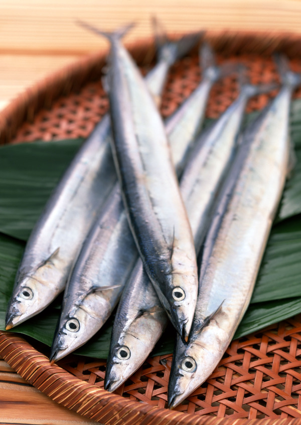 海鮮食材圖片