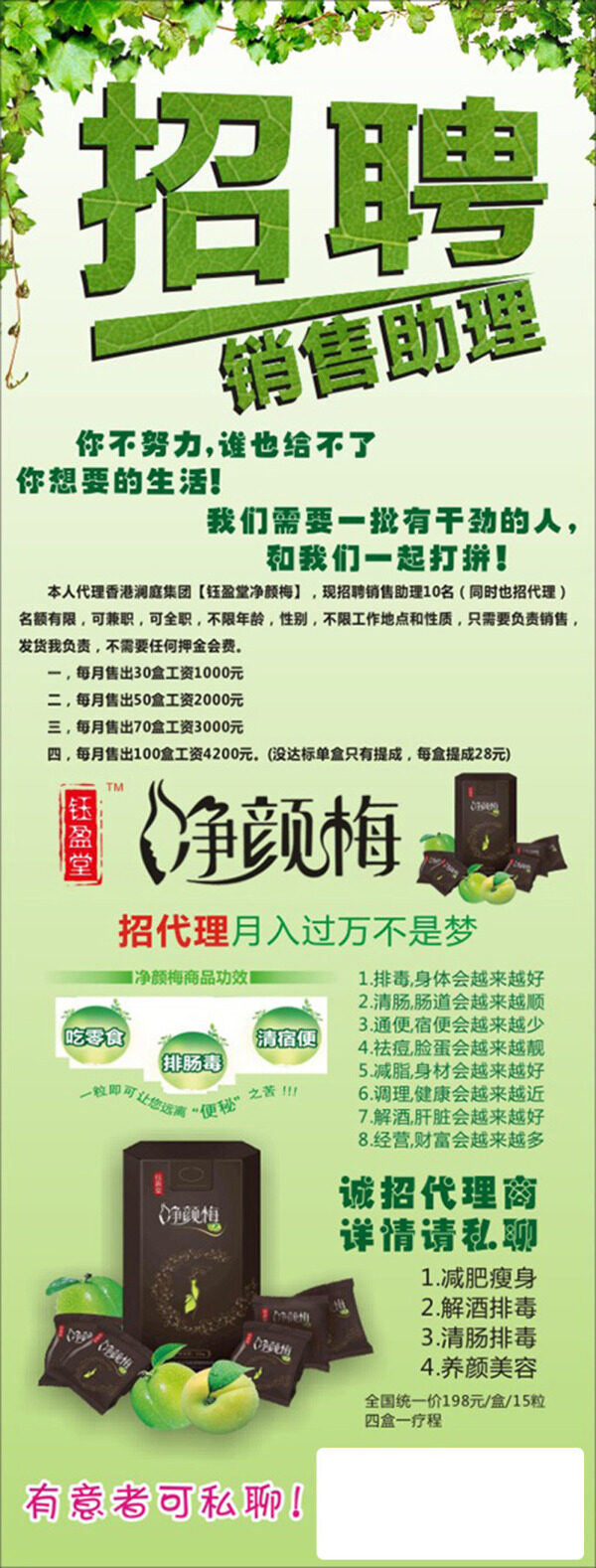 凈顏梅展架