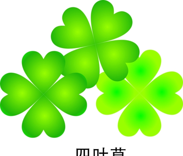 四葉草