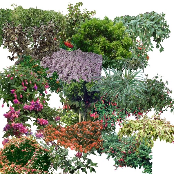 植物花卉分層素材