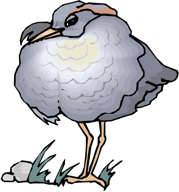 各種鳥類鳥動物矢量素材EPS格式0196