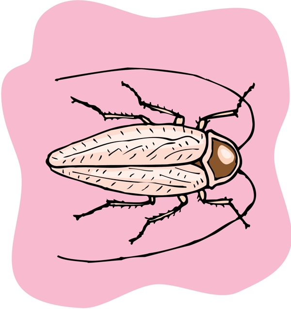 甲虫昆虫矢量素材EPS格式0292