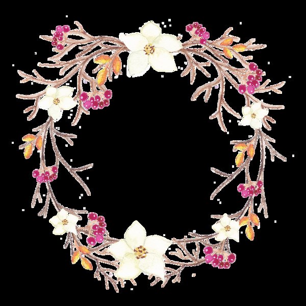 細流花枝透明素材