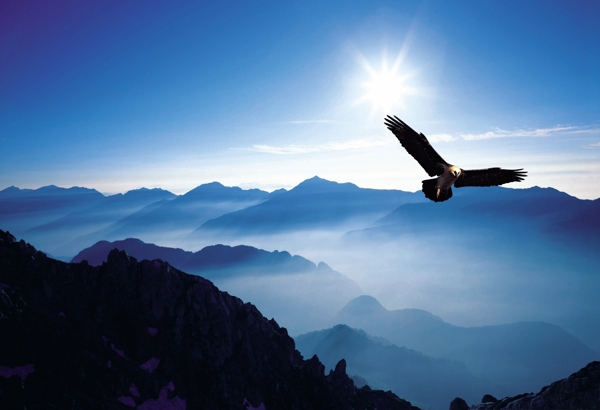 鷹擊長(zhǎng)空?qǐng)D片