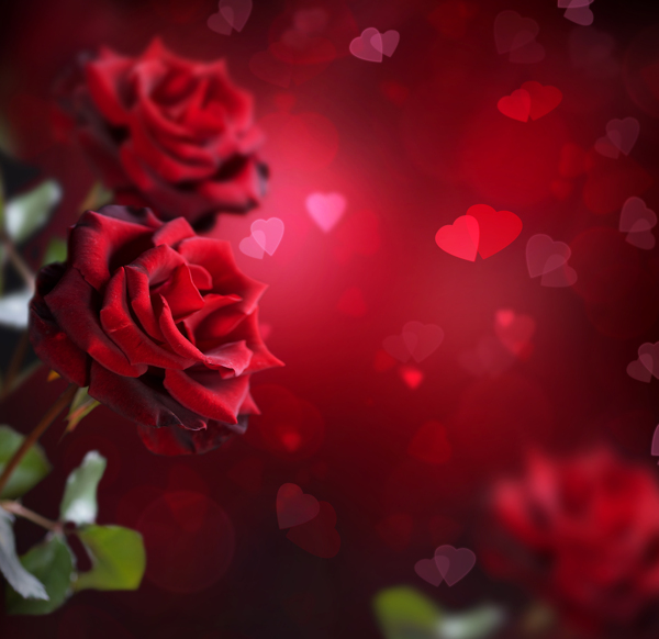 玫瑰花与心型背景图片