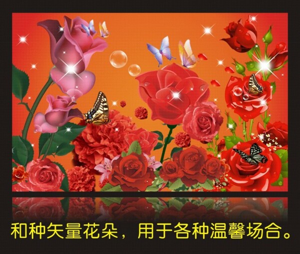 玫瑰