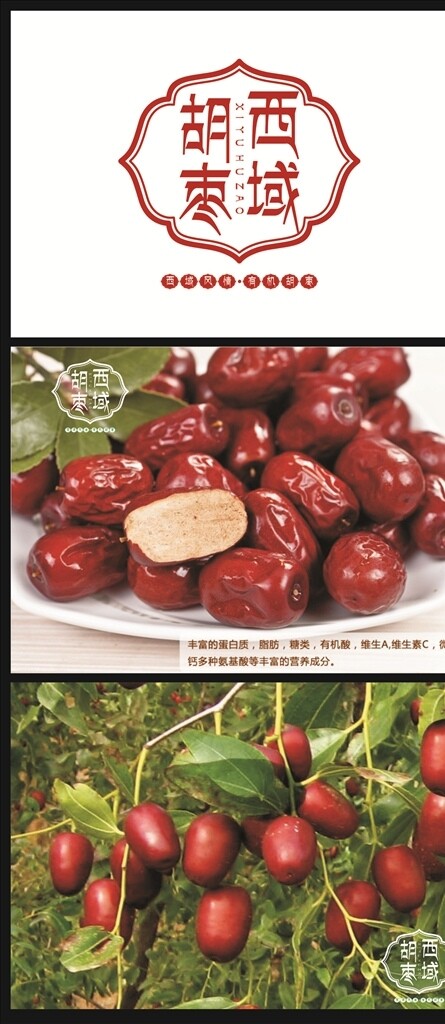 西域胡棗logo設(shè)計(jì)