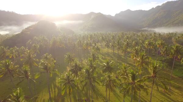 飞越印度尼西亚雾谷
