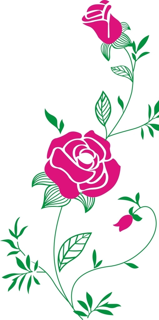 玫瑰花