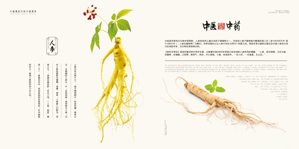 中國風(fēng)中式中醫(yī)醫(yī)藥傳統(tǒng)文化畫冊
