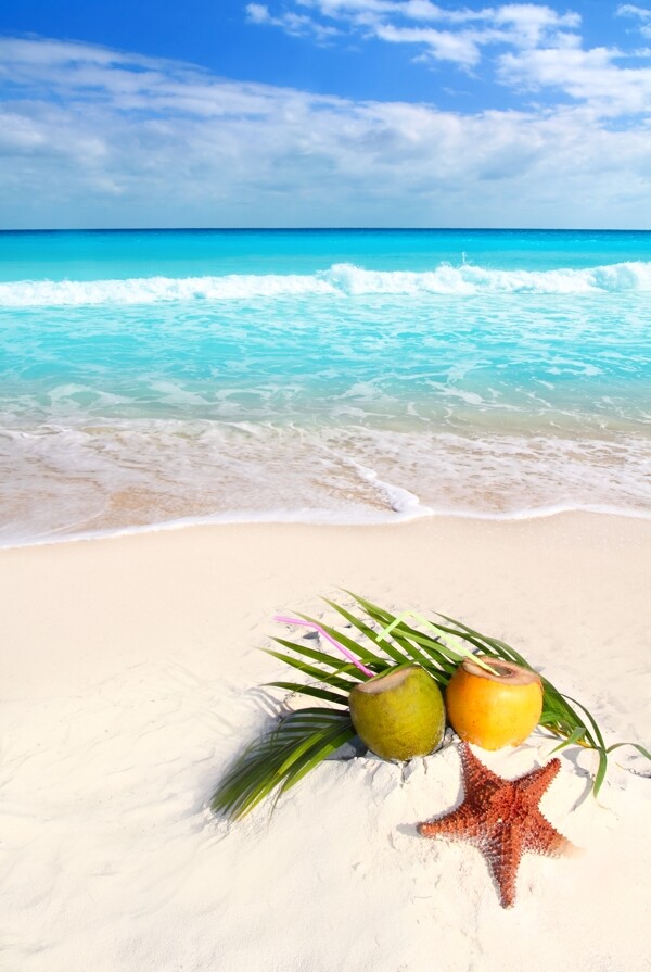 沙滩上的椰子汁与海星图片