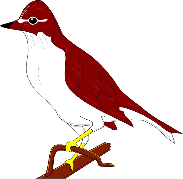 矢量逼真鳥類動物3
